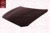 BMW 41007290942 Bonnet